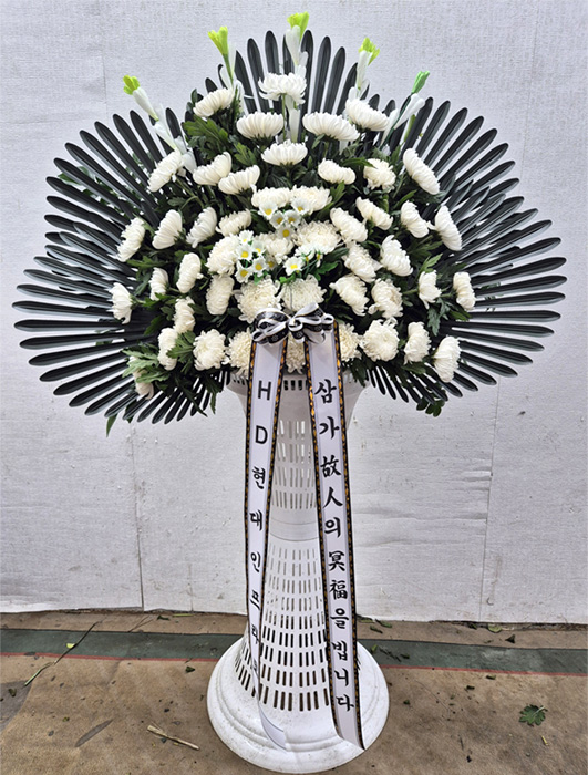 ST-FB261