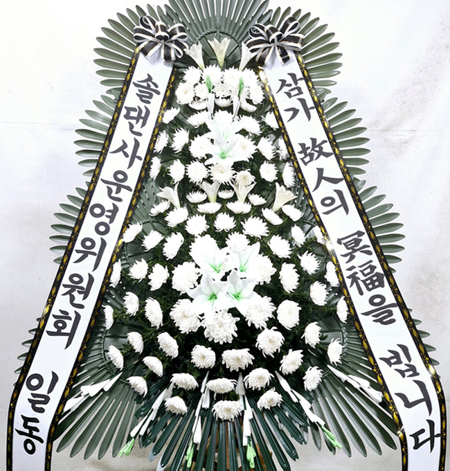 ST-FB226