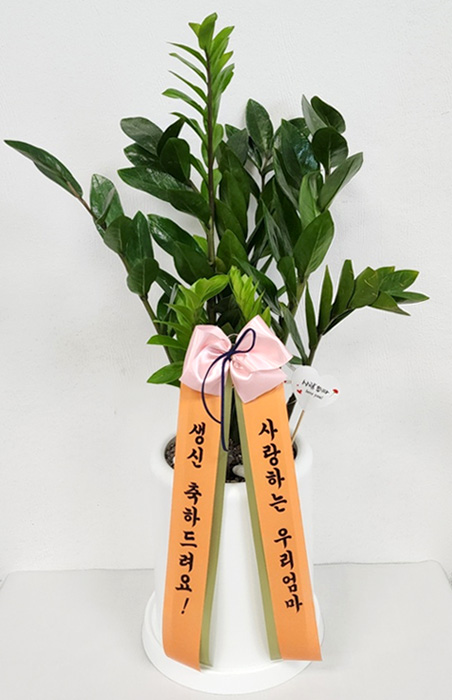 ST-D649
