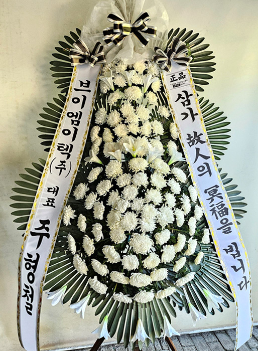 ST-FB233