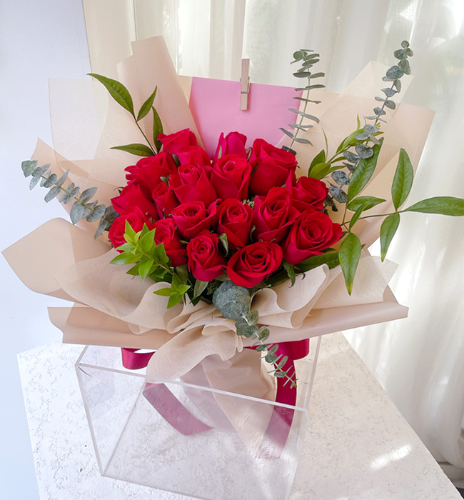 ST-C569