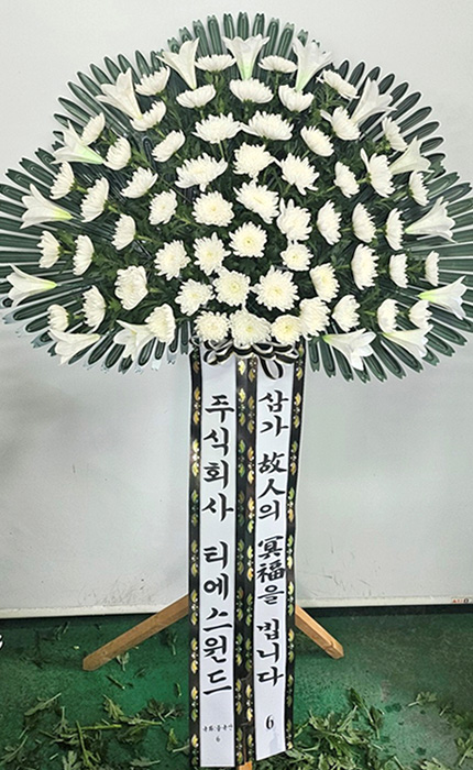 ST-FB260