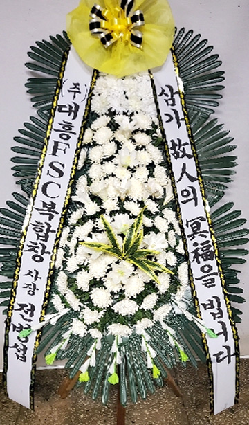 ST-FB226