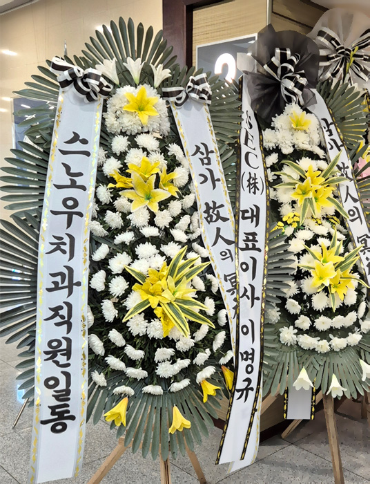 ST-FB226