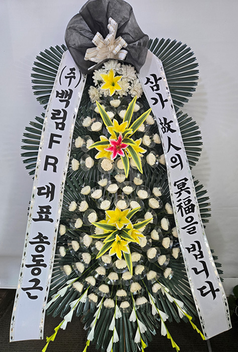 ST-FB233