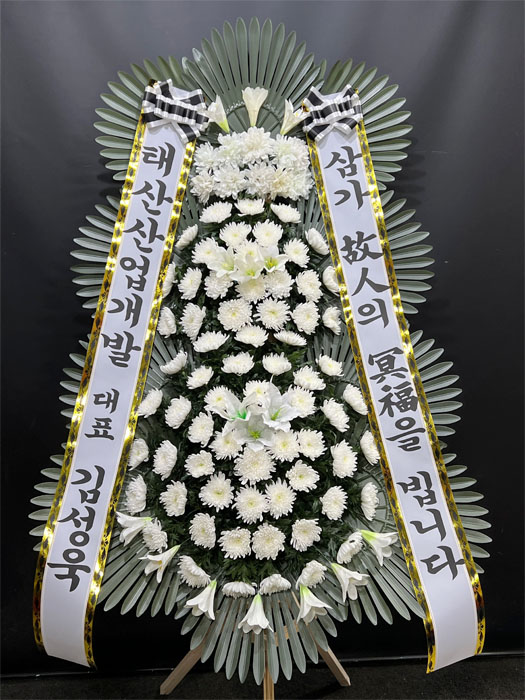 ST-FB226