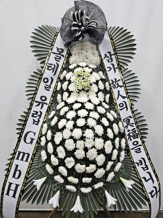 ST-FB233