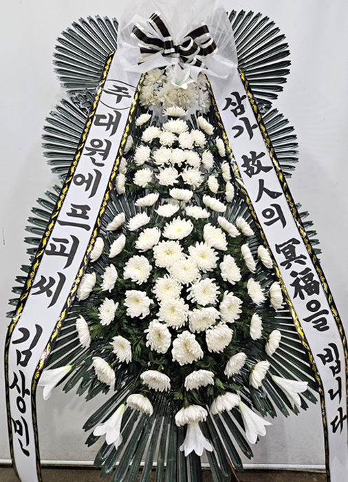 ST-FB233