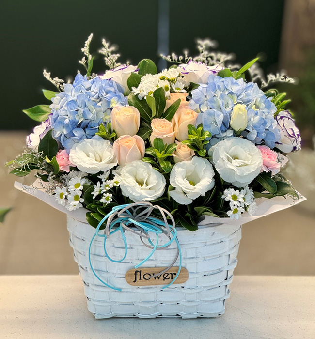 ST-A1661