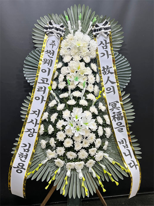 ST-FB226