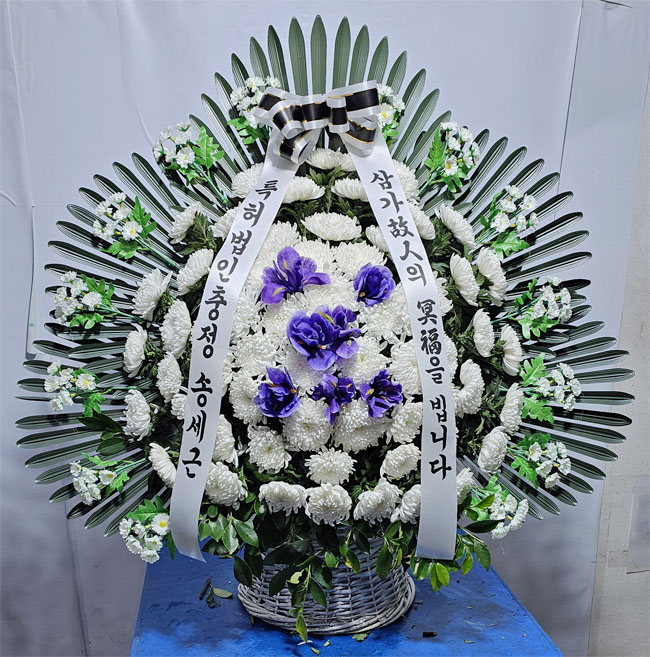 ST-FB255