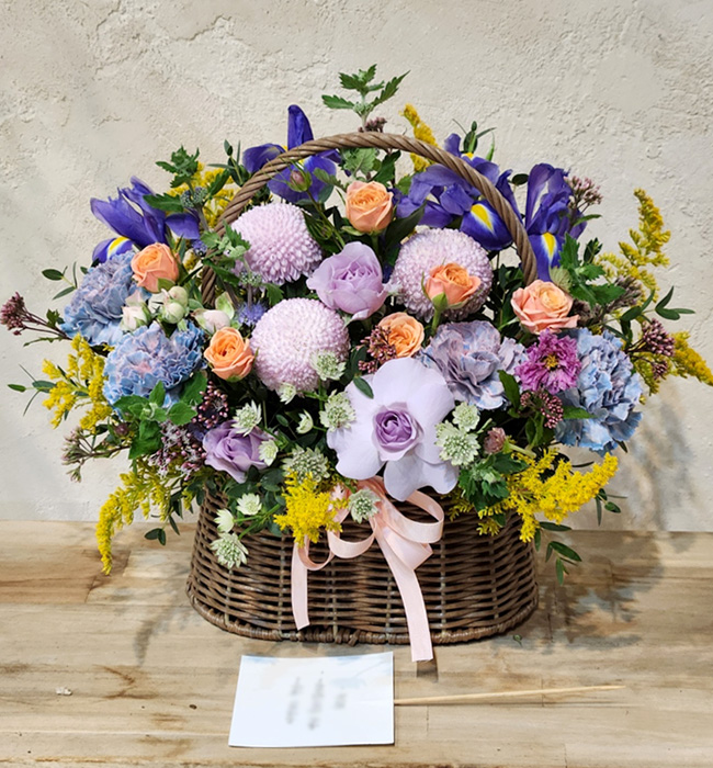 ST-A2026
