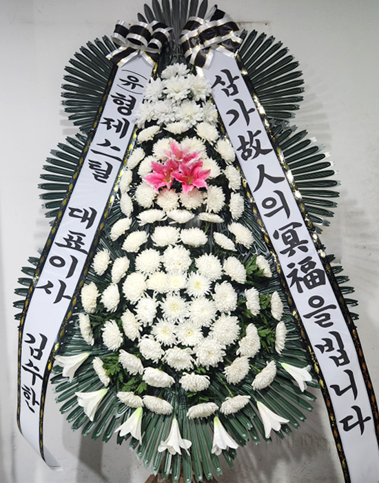 ST-FB232