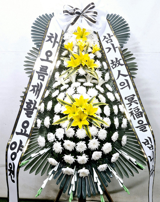 ST-FB154