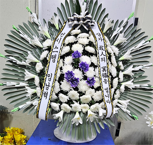 ST-FB255