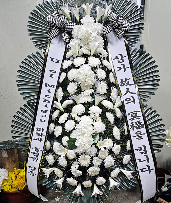 ST-FB251