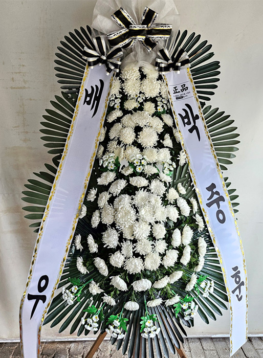 ST-FB233
