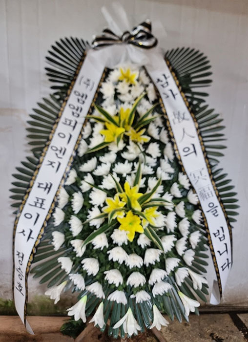 ST-FB233