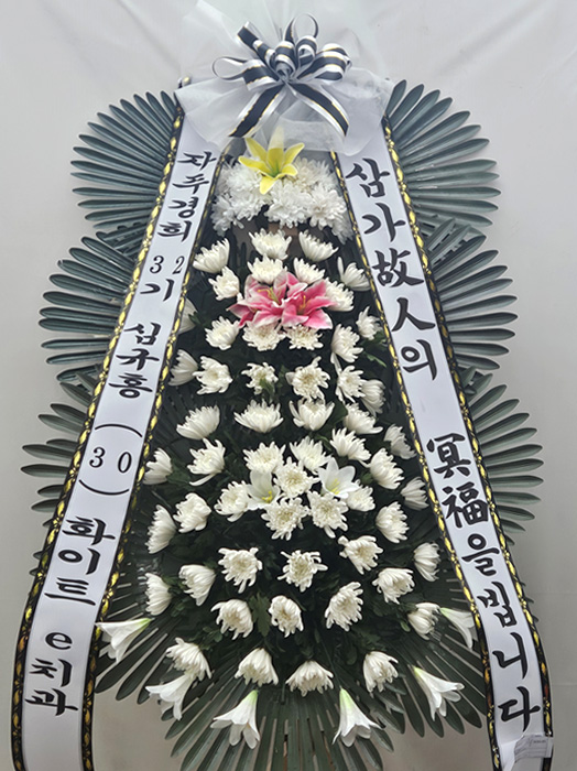 ST-FB141