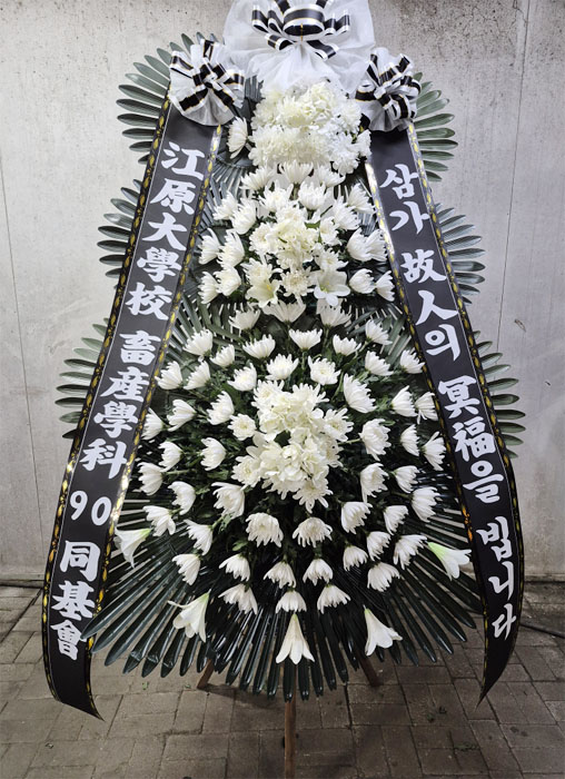 ST-FB252