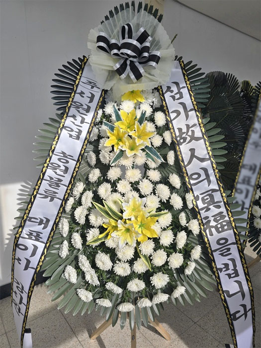 ST-FB233