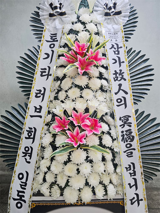 ST-FB141