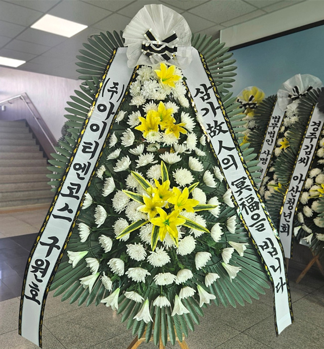 ST-FB226