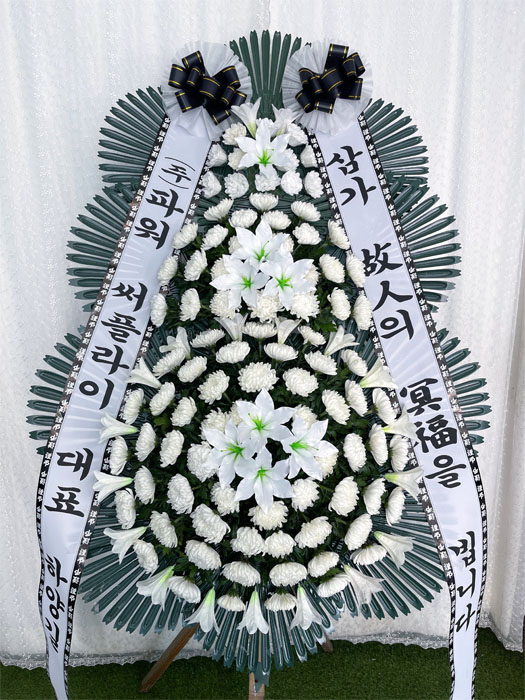 ST-FB226