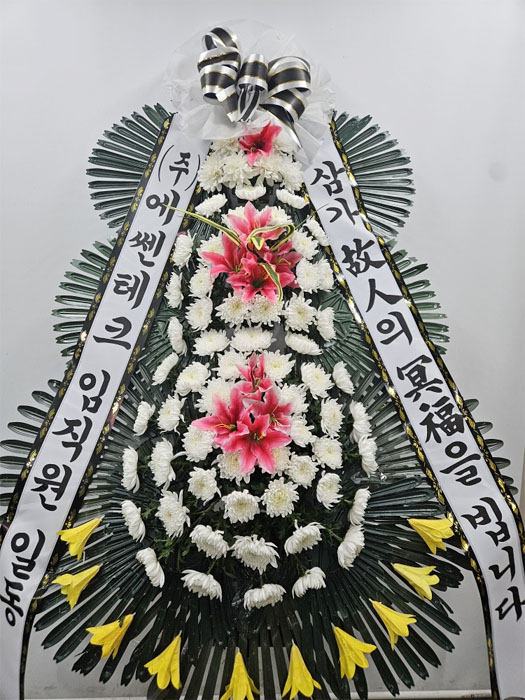 ST-FB141