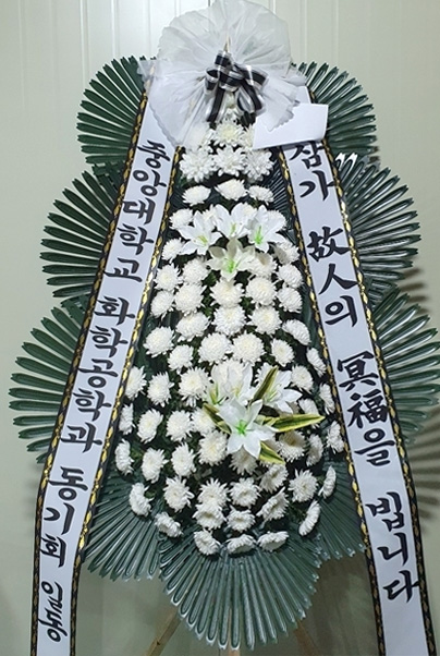 ST-FB226