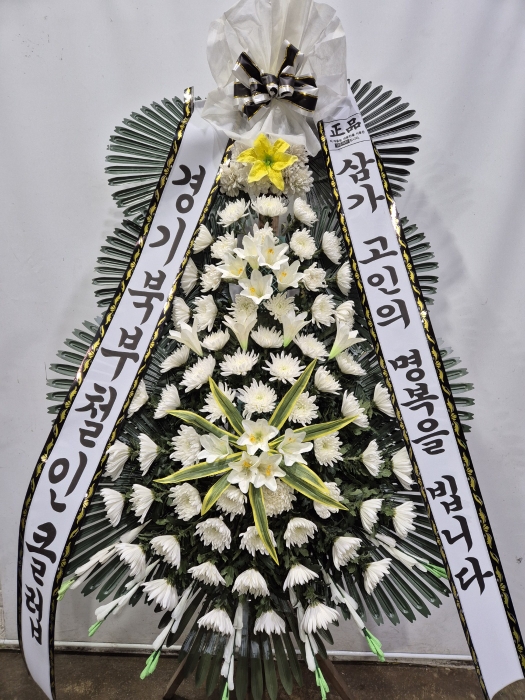 ST-FB226