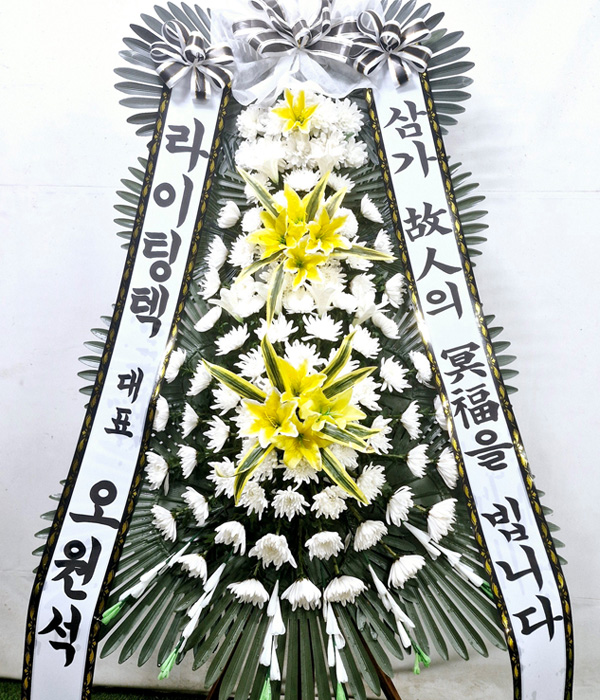 ST-FB155