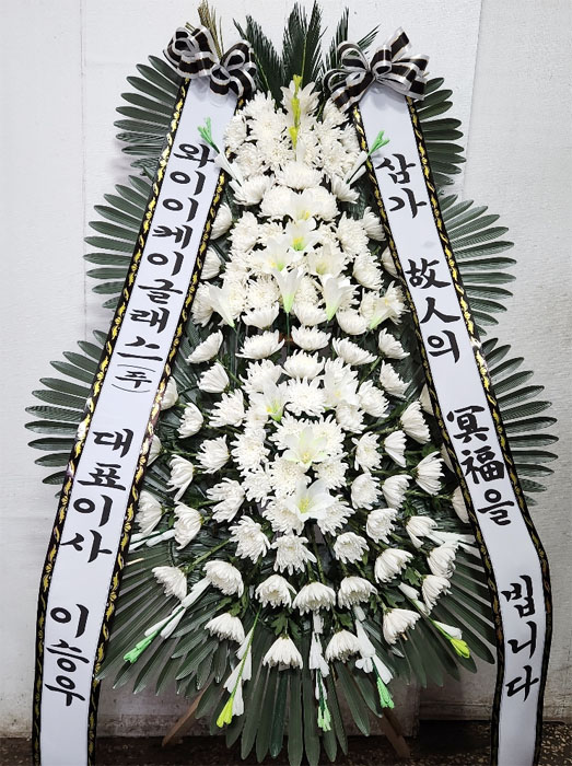 ST-FB233
