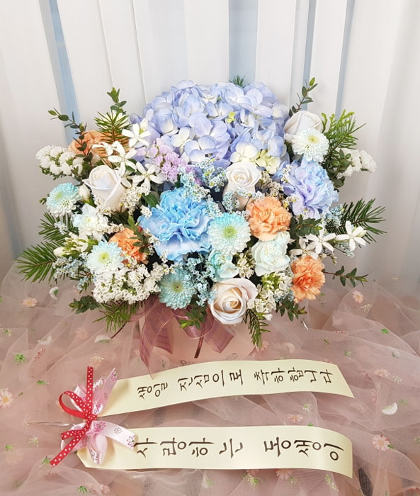 ST-C516