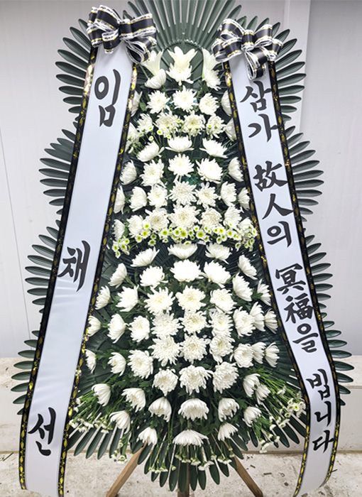 ST-FB226