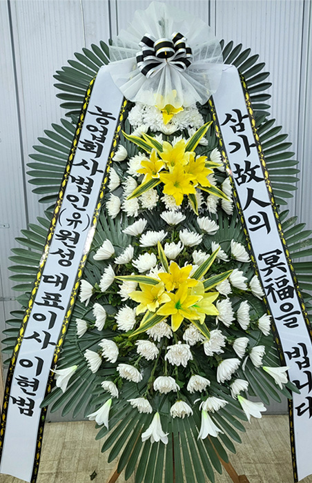 ST-FB141