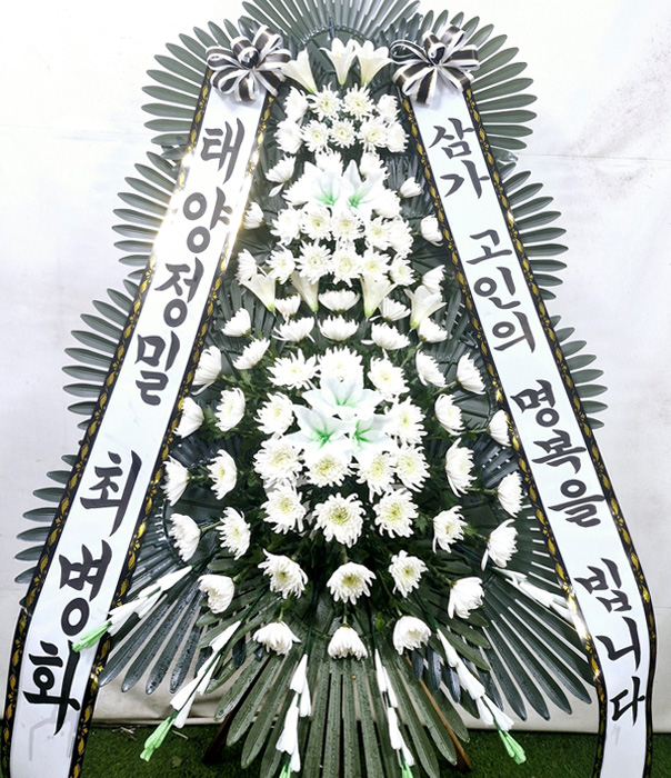 ST-FB226