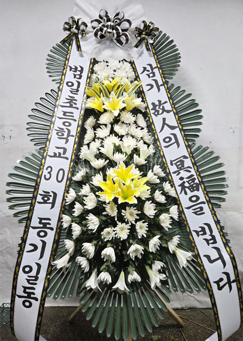 ST-FB142