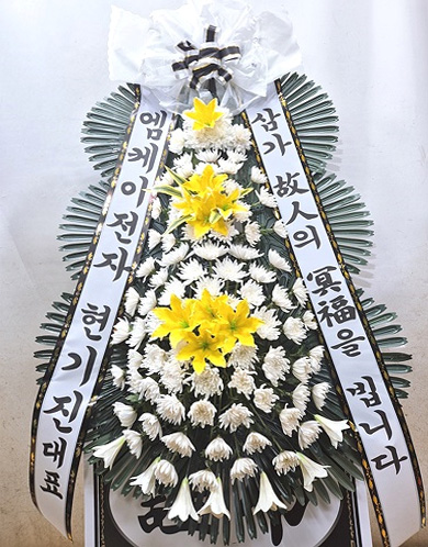 ST-FB154