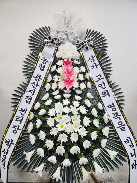 ST-FB141