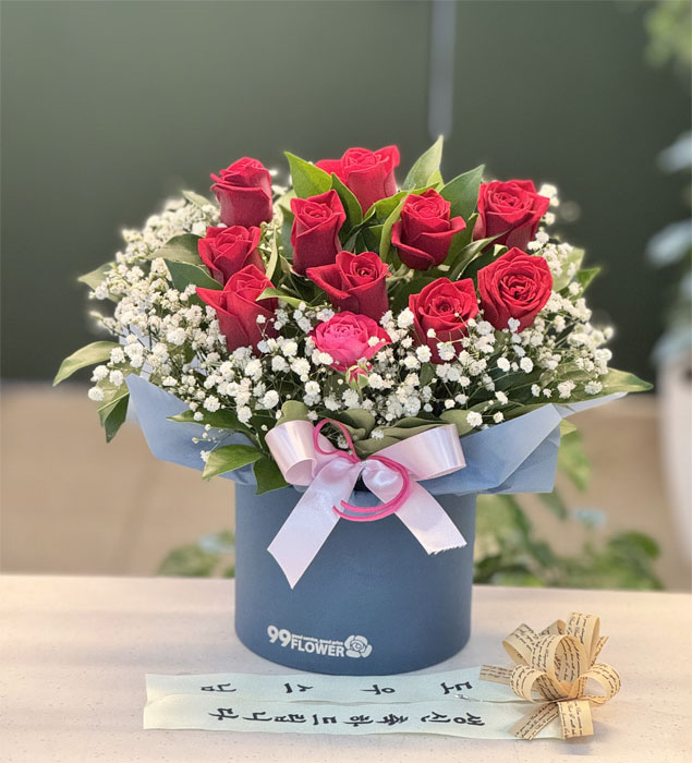 ST-B420