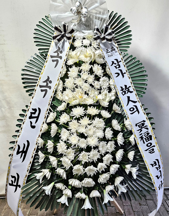 ST-FB162
