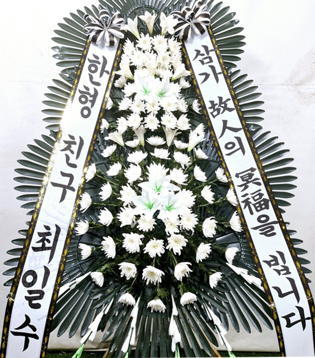 ST-FB233