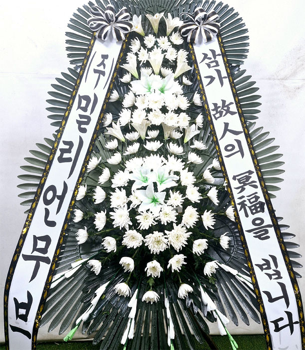 ST-FB233