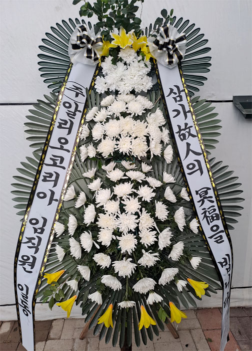 ST-FB233