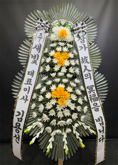ST-FB154