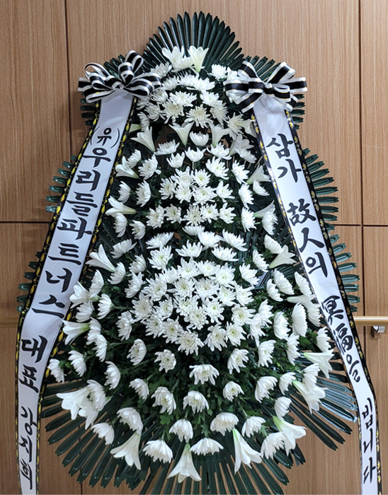 ST-FB229