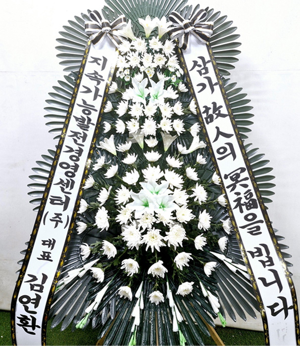 ST-FB233