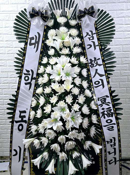 ST-FB226