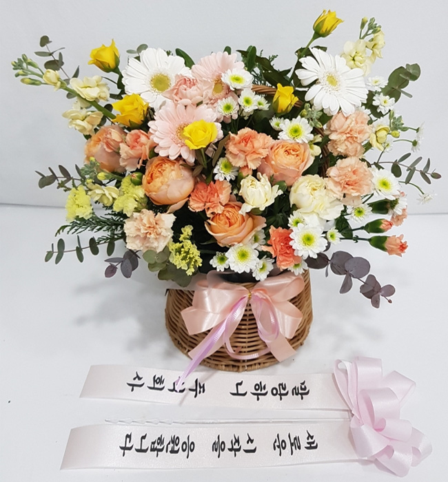 ST-A2033